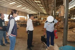 百色西林 多部門(mén)聯(lián)合深入鄉(xiāng)鎮(zhèn)木材加工廠開(kāi)展消防安全檢查